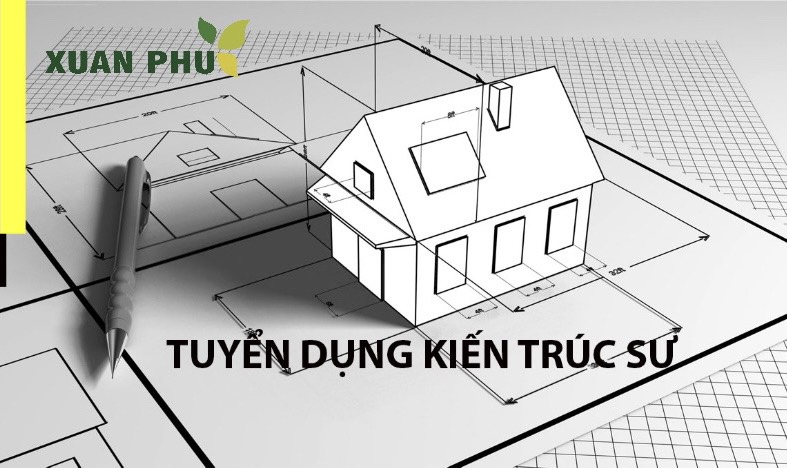 Tuyển dụng Kiến Trúc Sư